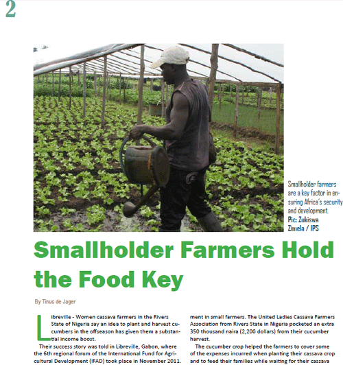 Screen shot of section of IFAD PDF report describing how Women Cassava Farmers In Rivers State Of Nigeria Develop New Idea That Earns Them An Extra $2,200 From Planting Cucumber On Their Cassava Farms In The Off Season